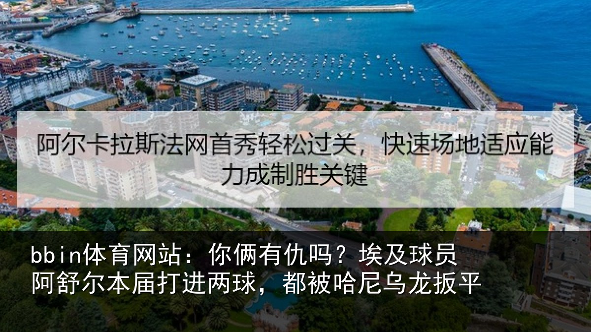 bbin体育网站:你俩有仇吗?埃及球员阿舒尔本届打进两球,都被哈尼乌龙扳平